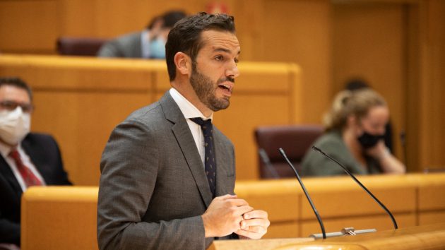 El PSOE impulsa las interconexiones energéticas con Europa y las energías renovables