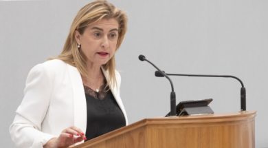 carmina fernandez