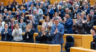 pedro sanchez en senado
