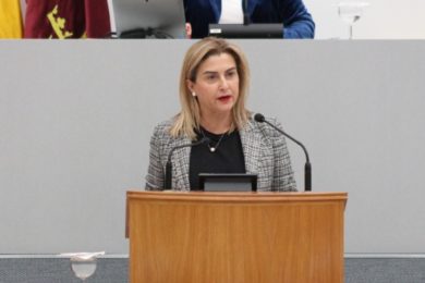carmina fernandez